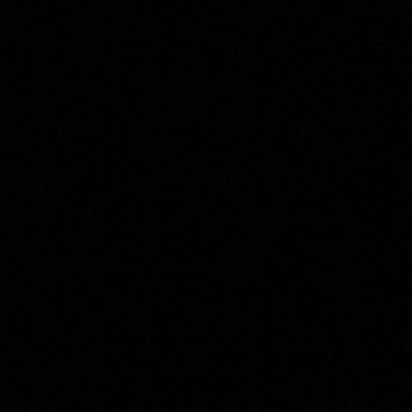 Meet your Posher, Alex - Picture 1 of 1